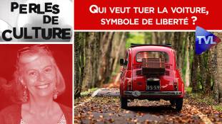 Perles de Culture n°288 : Qui veut tuer la voiture, symbole de liberté ?