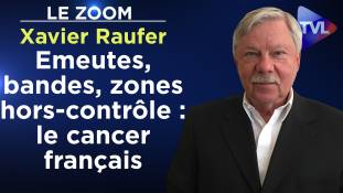 Zoom - Xavier Raufer : Emeutes, bandes, zones hors-contrôle : le cancer français