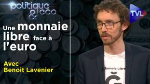Politique & Eco n°292 avec Benoit Lavenier : Chaos économique et revenu universel, ou monnaie libre ?