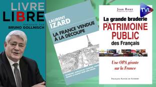Livre-Libre : Le patrimoine français livré aux prédateurs