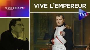 Le Plus d'Eléments - Napoléon est en nous : vive l’Empereur et mort aux c...