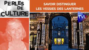 Perles de Culture n°293 : Savoir distinguer les vessies des lanternes