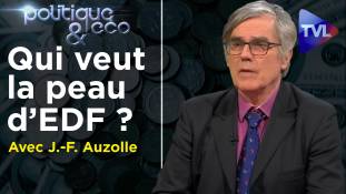 Politique & Eco n°295 avec Jean-François Auzolle : Qui veut la peau d’EDF ?
