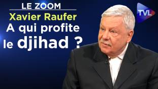 Zoom - Xavier Raufer : A qui profite le djihad ?