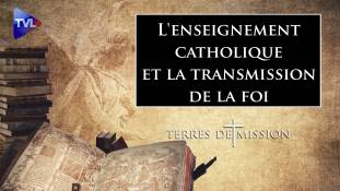 Terres de Mission n°211 : L'enseignement catholique et la transmission de la foi