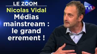 Zoom - Nicolas Vidal : Médias mainstream : le grand errement !