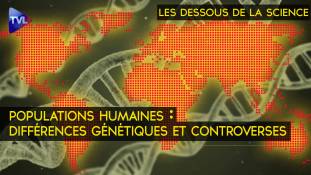 Les Dessous de la Science - Populations humaines : différences génétiques et controverses