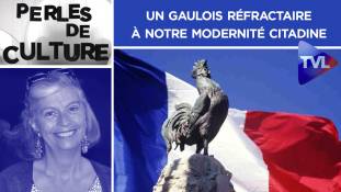 Perles de Culture n°299 avec Jacques Georges : Un Gaulois réfractaire à notre modernité citadine