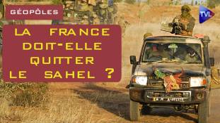 Géopôles n°35 : La France doit-elle quitter le Sahel ?