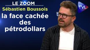 Zoom - Sébastien Boussois - Emirats arabes unis : la face cachée des pétrodollars