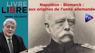 Livre-Libre - Napoléon - Bismarck : aux origines de l'unité allemande