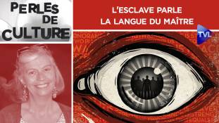 Perles de Culture n°314 : L'esclave parle la langue du maître