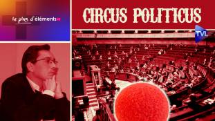 Le Plus d'Eléments n°23 : Circus politicus : quand les clowns font de la politique