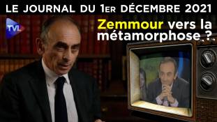 Zemmour et le Système : le face à face - JT du mercredi 1er décembre 2021