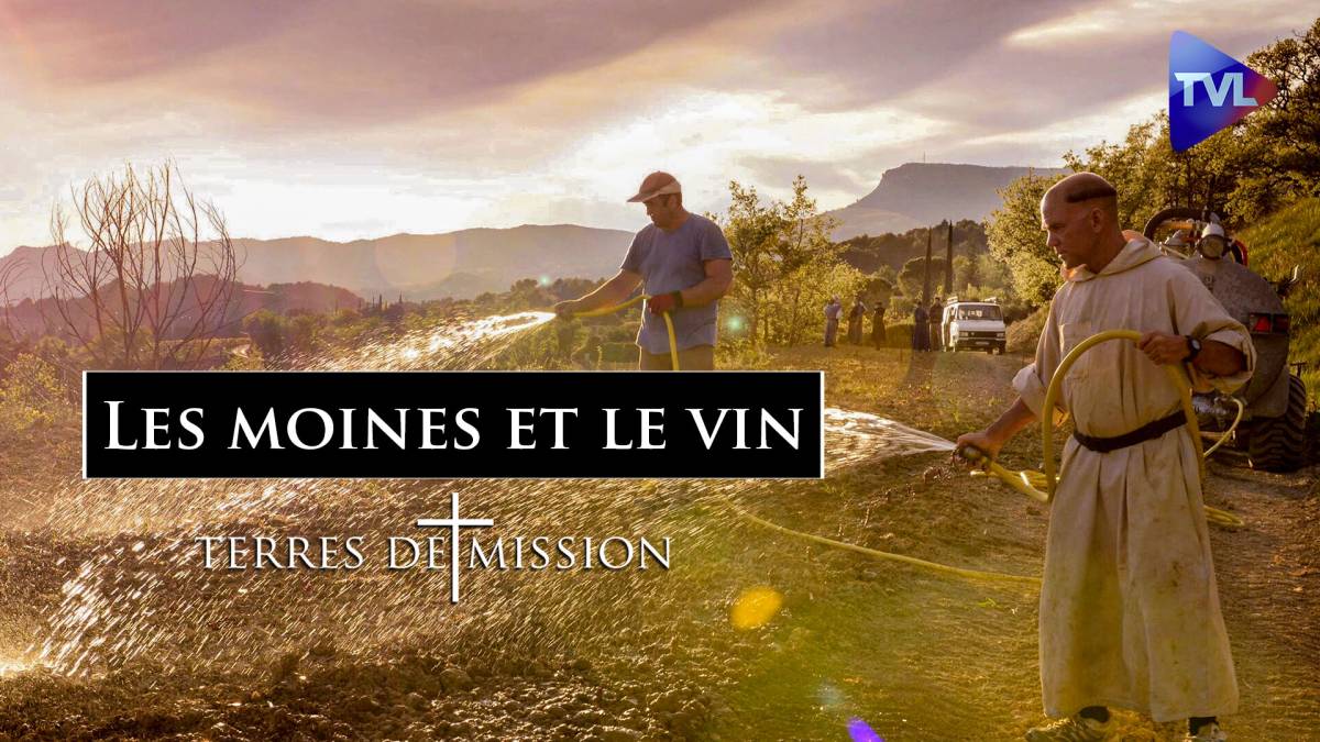 Terres De Mission N°241 : Les Moines Et Le Vin - TVLibertés - 1ère ...