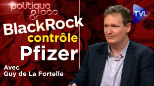 Politique & Eco n°328 avec Guy de La Fortelle (2ème partie) - BlackRock : en marche vers la Biocratie