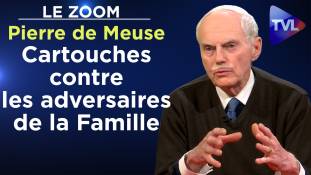 Zoom - Pierre de Meuse : Cartouches contre les adversaires de la Famille