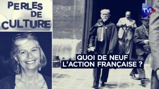 Perles de Culture n°337 : Quoi de neuf l'Action française ?
