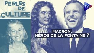 Perles de Culture n°339 : Macron, héros de La Fontaine ?