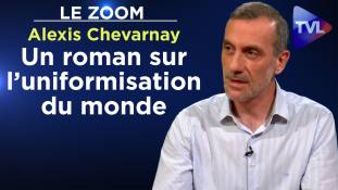 Zoom - Alexis Chevarnay - Le goût du silex : un roman sur l’uniformisation du monde