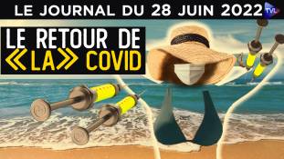 Covid-19, masques, pass-vaccinal : la vague de l’été - JT du mardi 28 juin 2022