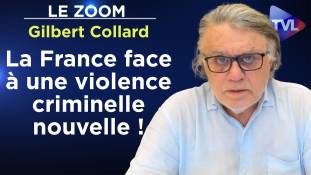 Zoom - Gilbert Collard : La France est face à une violence criminelle nouvelle !