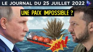 Ukraine : une paix impossible ? - JT du lundi 25 juillet 2022