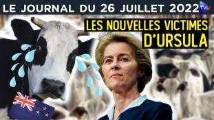 Le nouveau poison mondialiste de Bruxelles - JT du mardi 26 juillet 2022