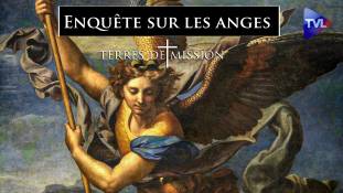 Terres de Mission n°281 : Enquête sur les anges