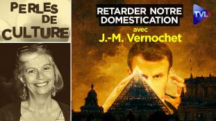 Perles de Culture n°355 avec Jean-Michel Vernochet : Manuel pour retarder notre domestication totale