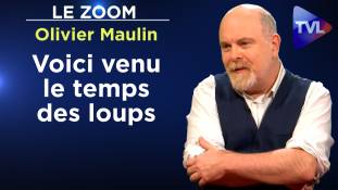 Zoom - Olivier Maulin : Voici venu le temps des loups