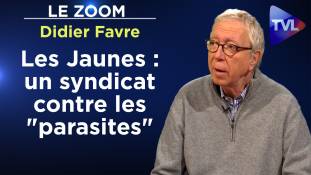 Zoom - Didier Favre - Syndicalisme jaune : le parti des intérêts nationaux