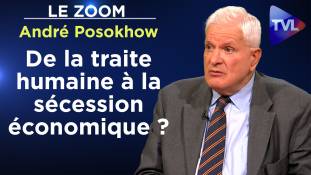 Zoom - André Posokhow : Immigration extra-européenne : 193 milliards €/an ?