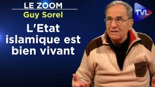 Zoom - Guy Sorel : Islam et ignorance