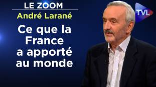 Zoom - André Larané : "Déconstruire notre histoire" : une réponse à E. Macron