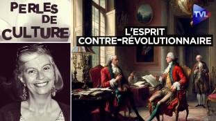 Perles de Culture n°370 : L'esprit contre-révolutionnaire de Jean de Viguerie