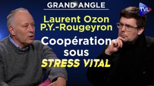 Grand Angle : Coopération sous stress vital