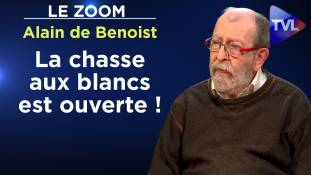 Le Zoom - Alain de Benoist : Identité : métisser des races qui n'existent pas ?