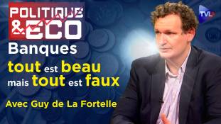 Politique & Eco n°383 avec Guy de La Fortelle - Crise bancaire : "quoi qu'il en coûte", le retour