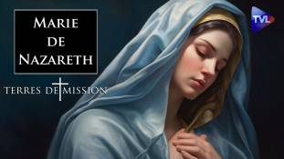 Terres de Mission n°314 : Marie de Nazareth et les 1 000 raisons de croire à la foi catholique