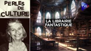 Perles de Culture n°387 : La fantastique bibliothèque de Charles-Henri d'Andigné