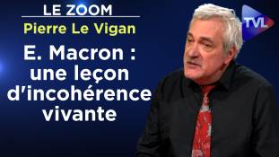 Zoom - Pierre Le Vigan : E. Macron est-il machiavélique ?