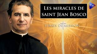 Terres de Mission n°317 : Les miracles de saint Jean Bosco