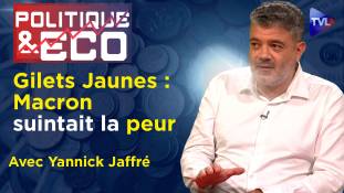 Politique & Eco n°396 avec Yannick Jaffré - Gilets Jaunes : une révolution française en sommeil ?