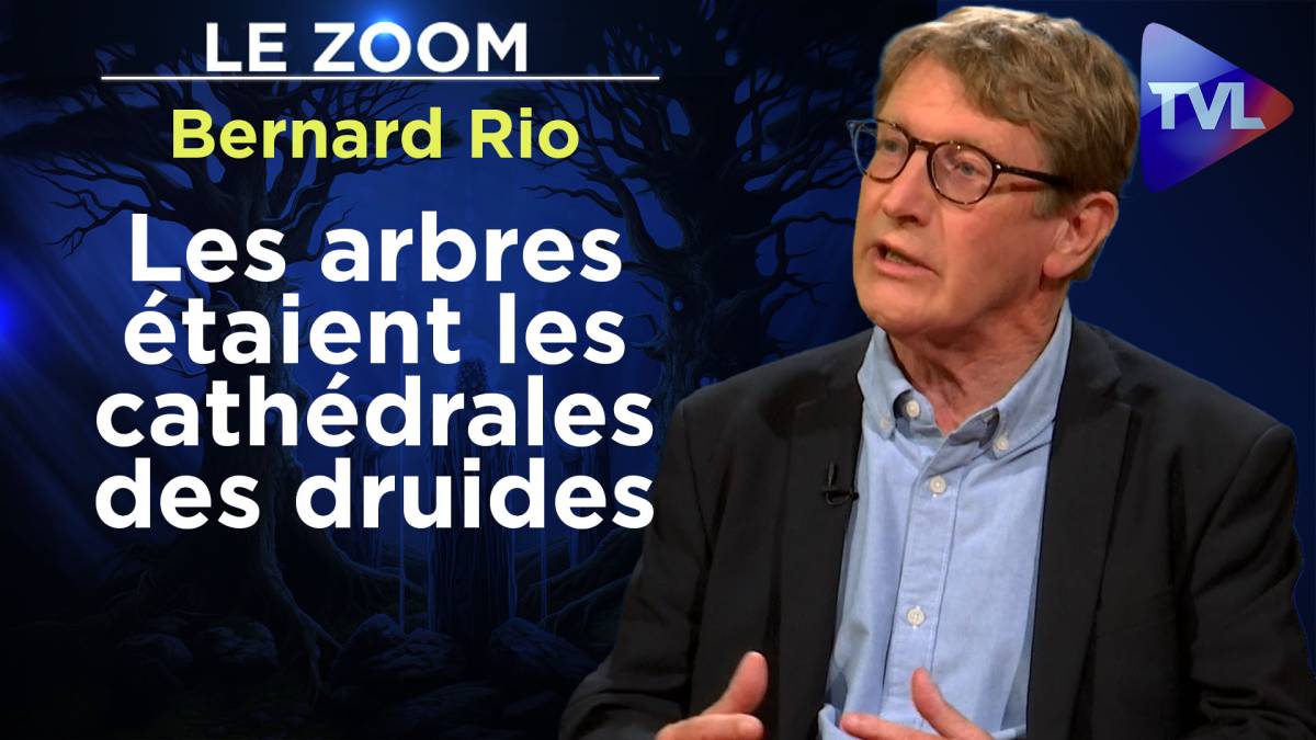 Zoom - Bernard Rio : Les secrets de la forêt des Celtes - TVLibertés