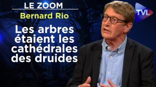 Zoom - Bernard Rio : Les secrets de la forêt des Celtes