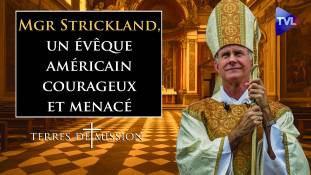 Terres de Mission n°328 - Un évêque américain, courageux et menacé : Mgr Strickland