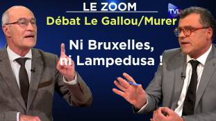 Zoom - Le Gallou/Murer - Submersion migratoire : quels sont les recours ?