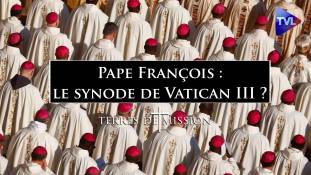 Terres de Mission n°332 - Pape François : le synode de Vatican III ?