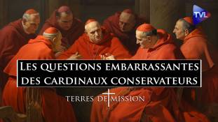 Terres de Mission n°334 : Les questions embarrassantes des cardinaux conservateurs